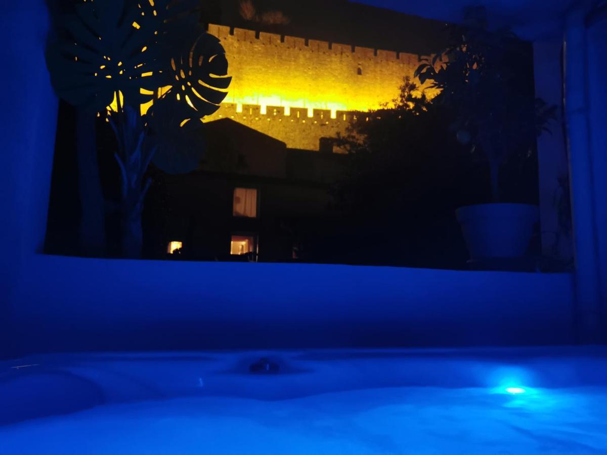 Le Cellier De Beaulieu, Au Pied De La Cite, Maison De Vacances Avec Climatisation Et Jacuzzi Carcassonne Dış mekan fotoğraf